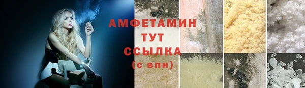 mdpv Богородицк