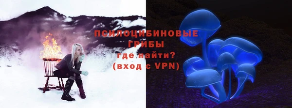 a pvp Богданович
