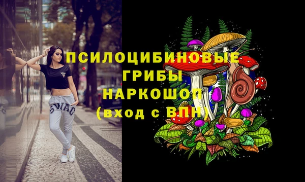 мдма Богородск