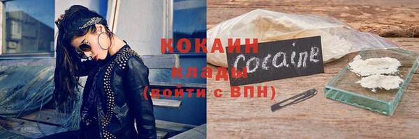 mdpv Богородицк